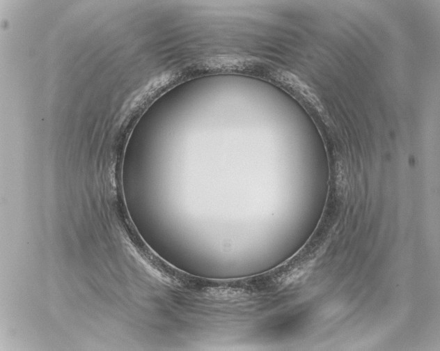 X0000060260633200511112022