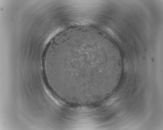 X0000060260634200511112022