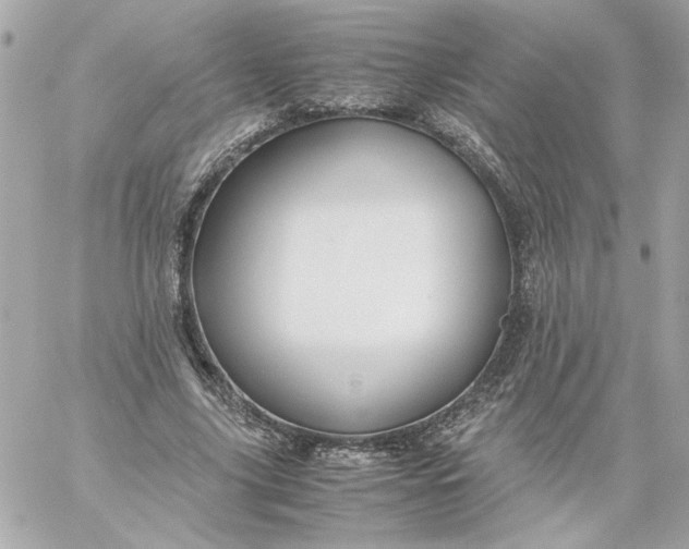 X0000060260635200511112022