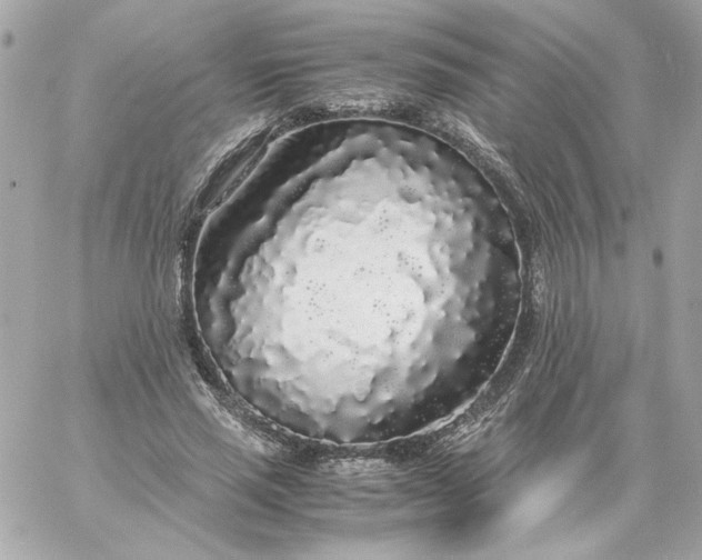 X0000060260637200511112022