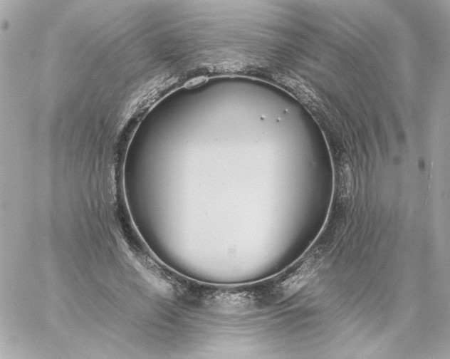 X0000060260638200511112022