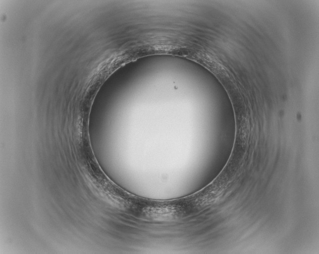 X0000060260639200511112022