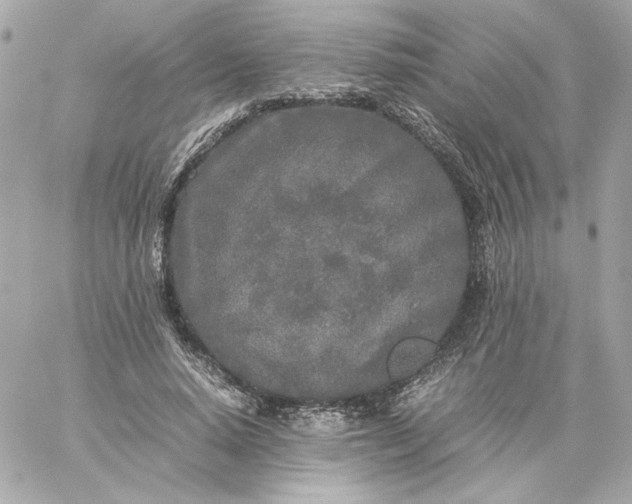 X0000060260640200511112022