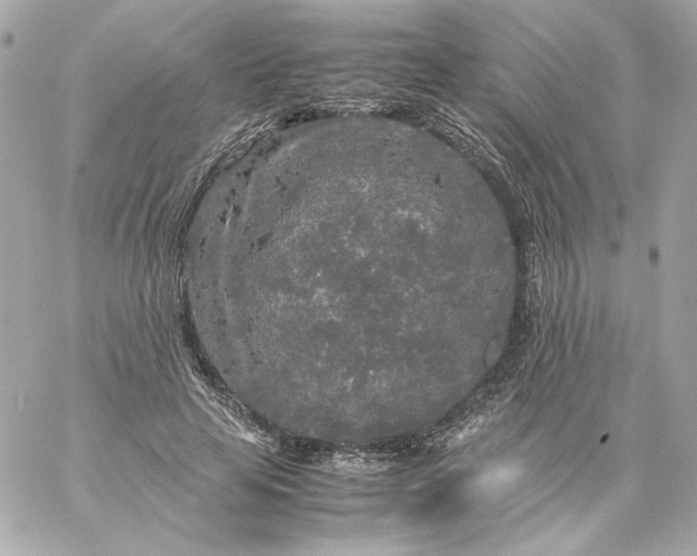 X0000060260641200511112022