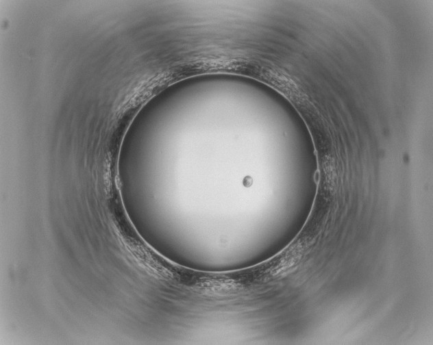 X0000060260642200511112022