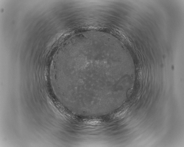 X0000060260643200511112022