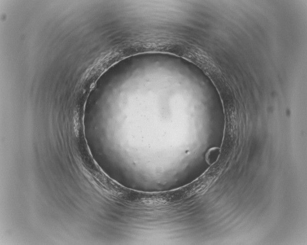 X0000060260644200511112022