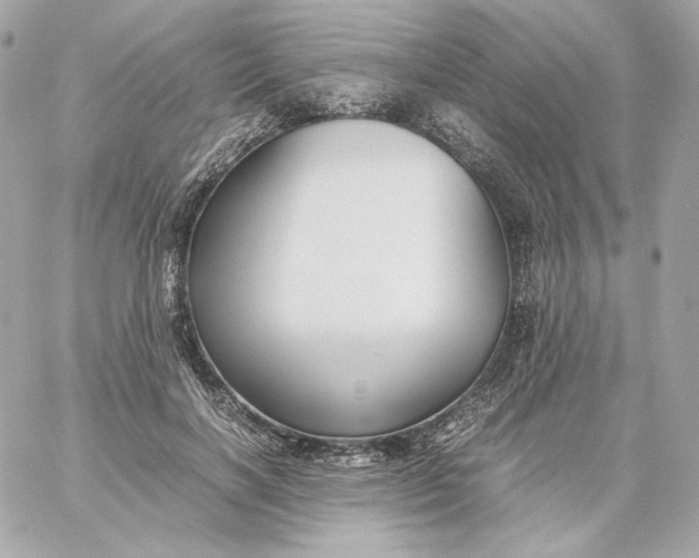 X0000060260646200511112022