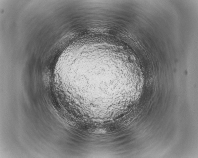 X0000060260647200511112022