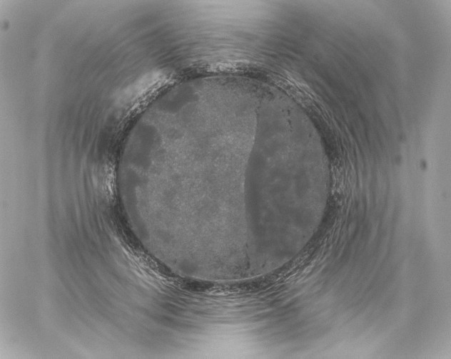 X0000060260648200511112022