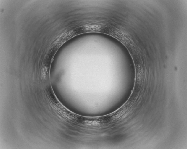 X0000060260649200511112022