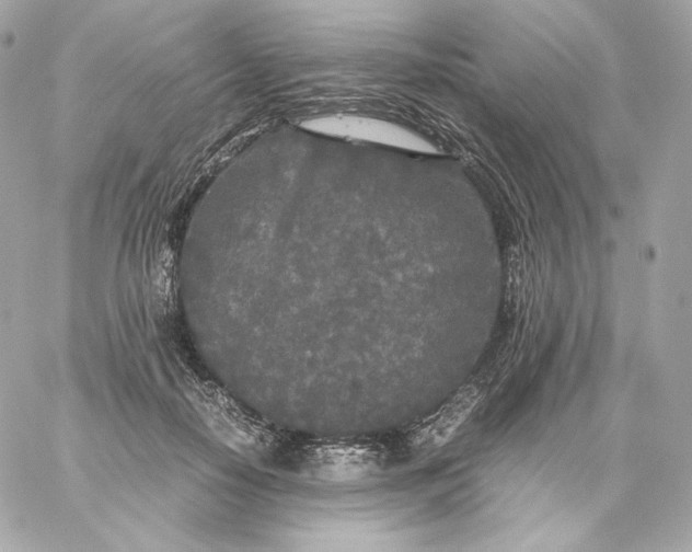 X0000060260650200511112022