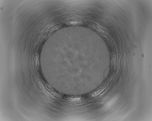 X0000060260651200511112022