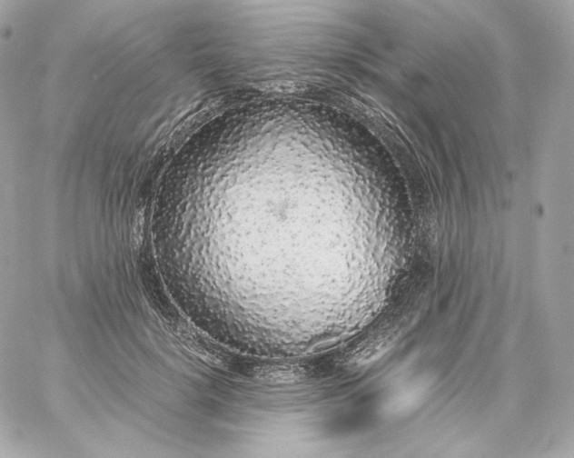 X0000060260652200511112022