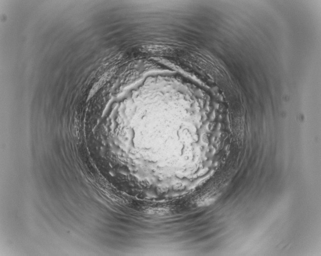 X0000060260653200511112022