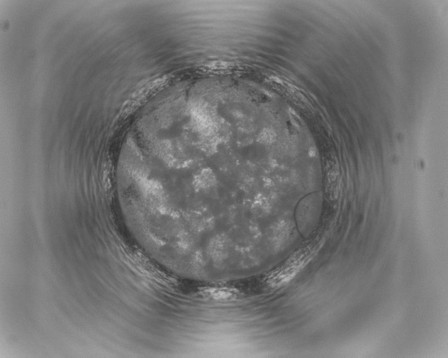 X0000060260654200511112022