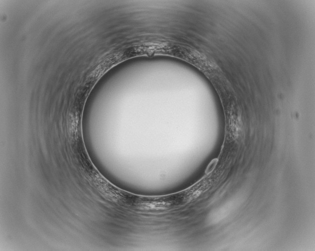 X0000060260657200511112022