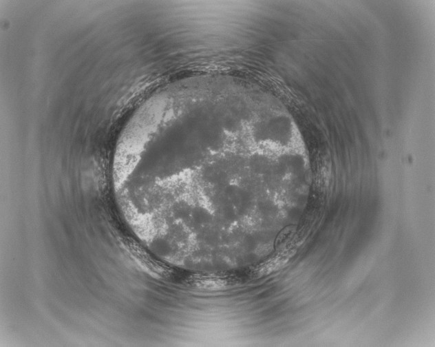 X0000060260658200511112022