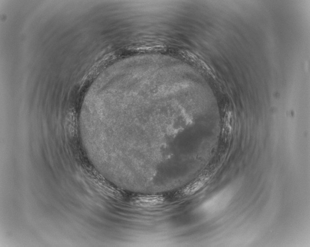 X0000060260659200511112022