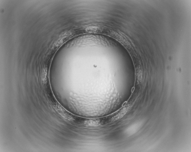 X0000060260660200511112022