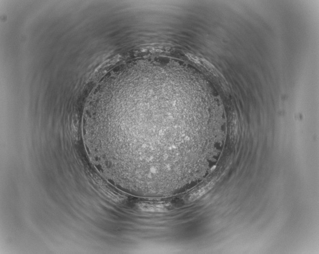 X0000060260661200511112022