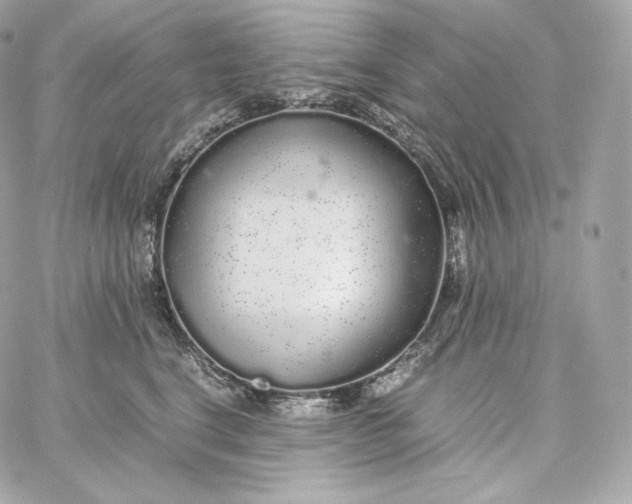 X0000060260664200511112022