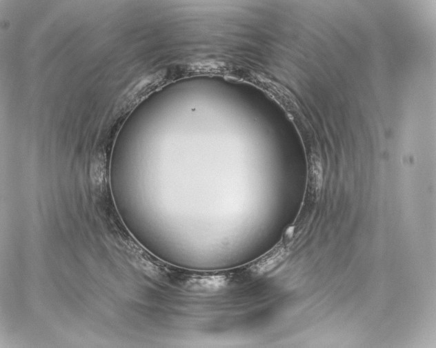 X0000060260665200511112022