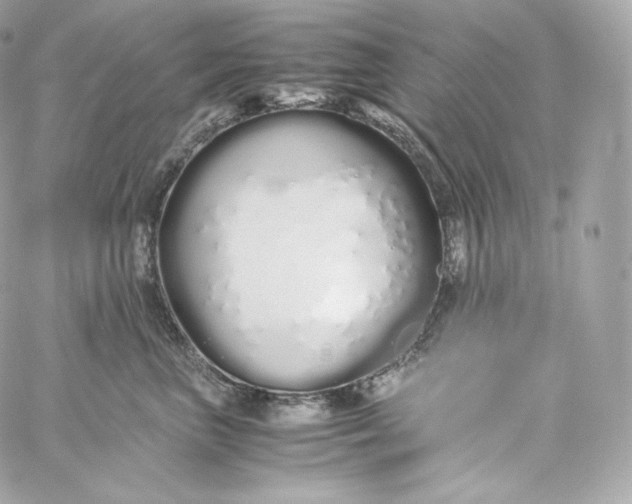 X0000060260667200511112022