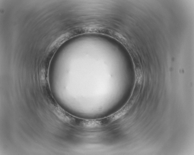 X0000060260670200511112022