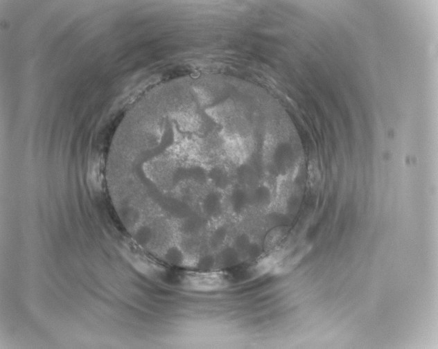 X0000060260671200511112023