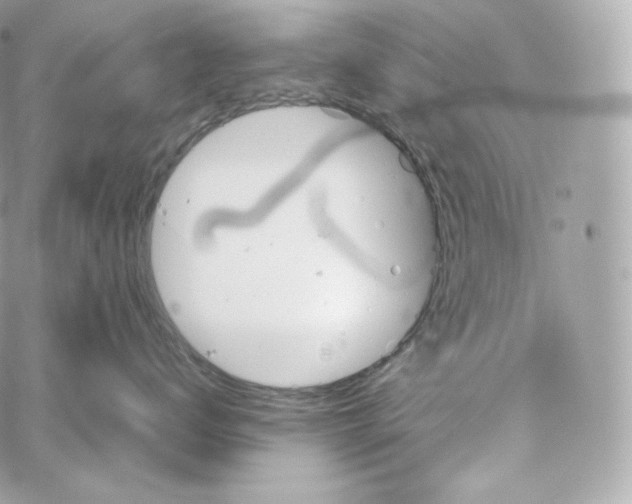 X0000060260672200511112023