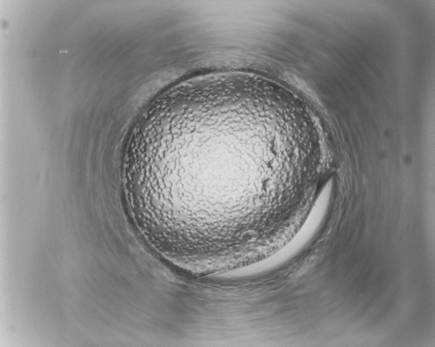 X0000060260673200511112022