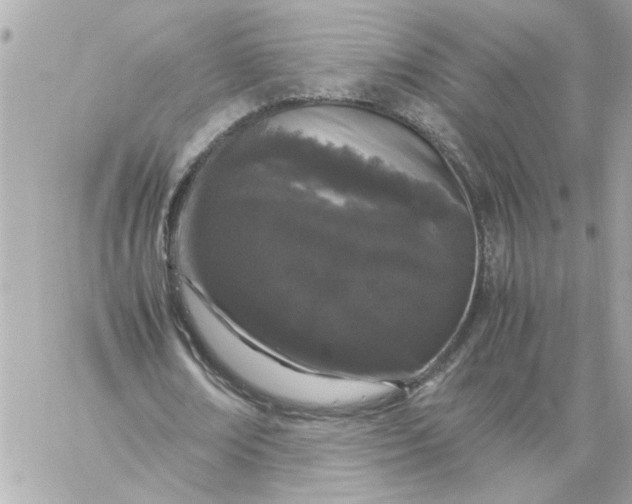 X0000060260674200511112022