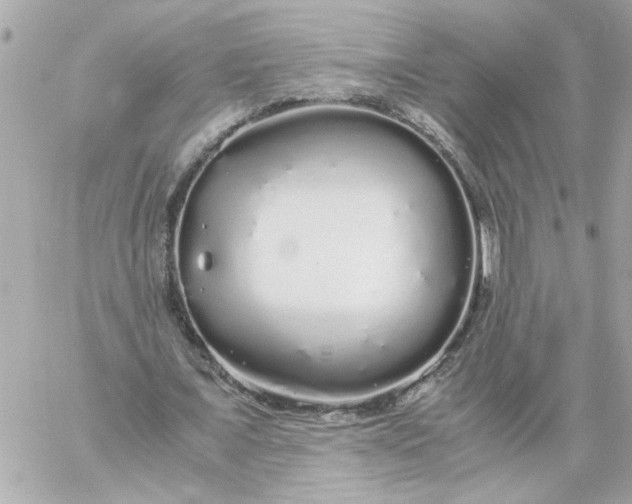 X0000060260675200511112022