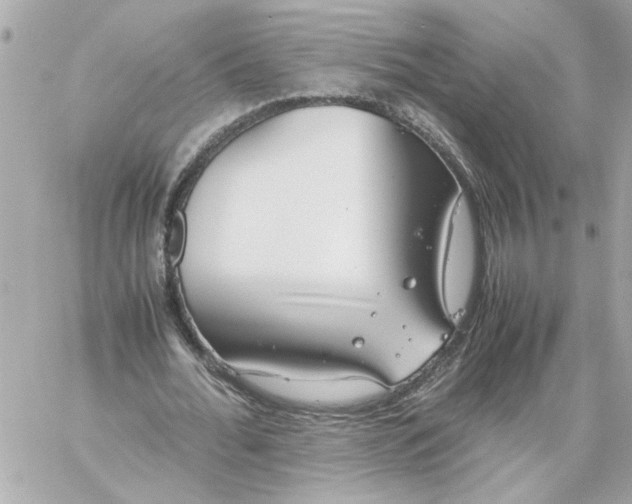 X0000060260676200511112022