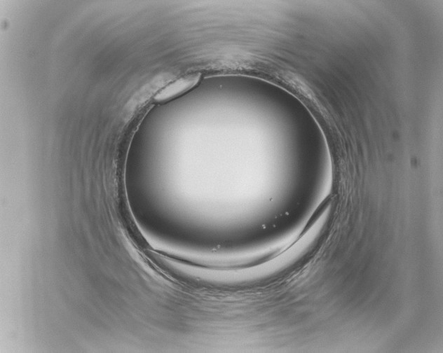 X0000060260677200511112022