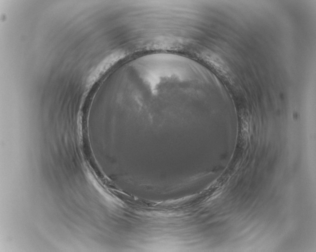 X0000060260678200511112022