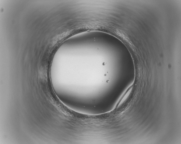 X0000060260681200511112022