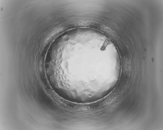 X0000060260683200511112022