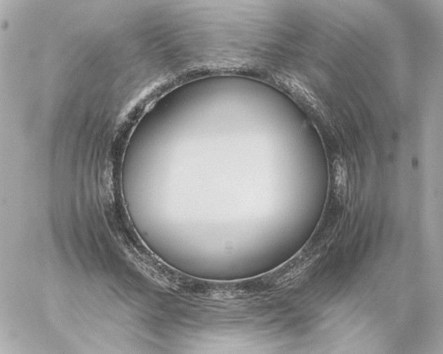 X0000060260684200511112022