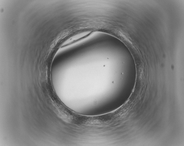 X0000060260685200511112022