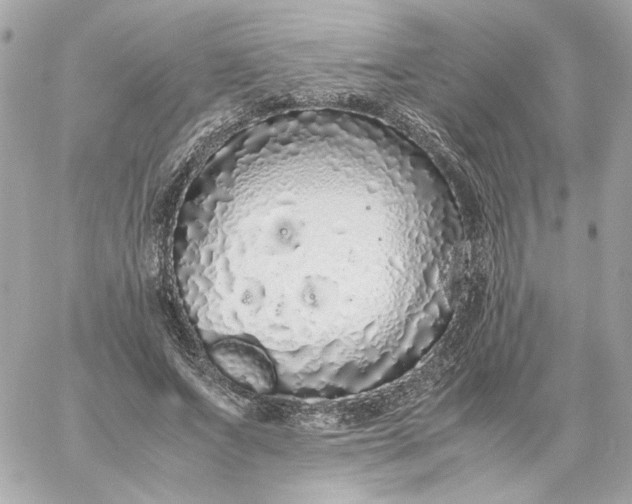 X0000060260687200511112021