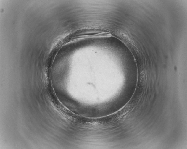 X0000060260688200511112021