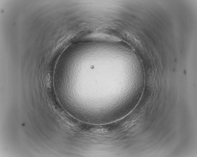 X0000060260689200511112021