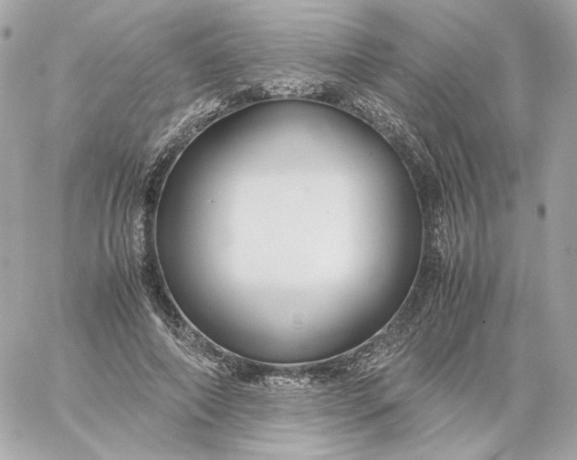 X0000060260690200511112021