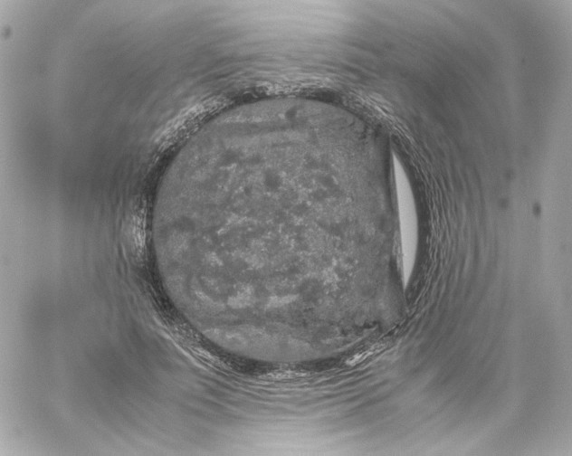 X0000060260691200511112021