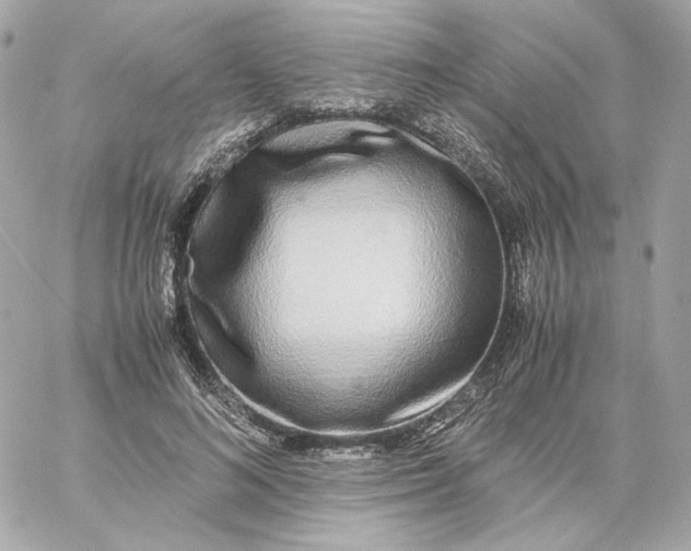 X0000060260692200511112021