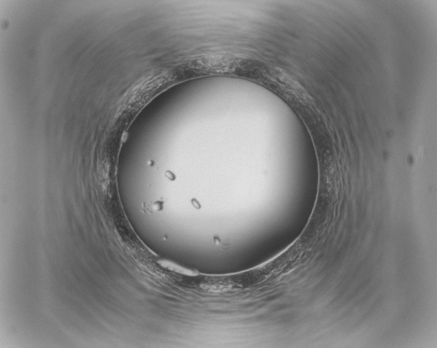 X0000060260693200511112021