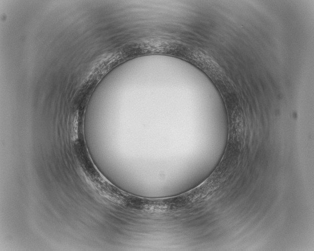 X0000060260694200511112021