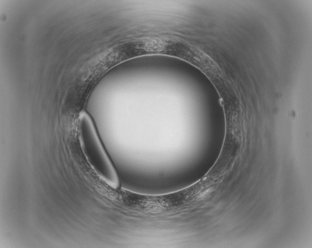 X0000060260697200511112021